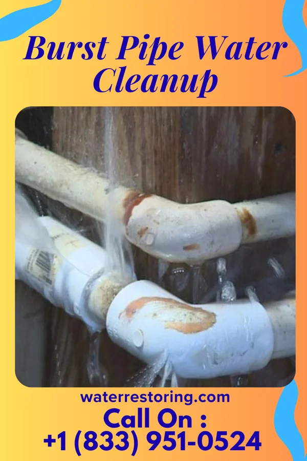 Burst Pipe Water Cleanup in Denning, AR